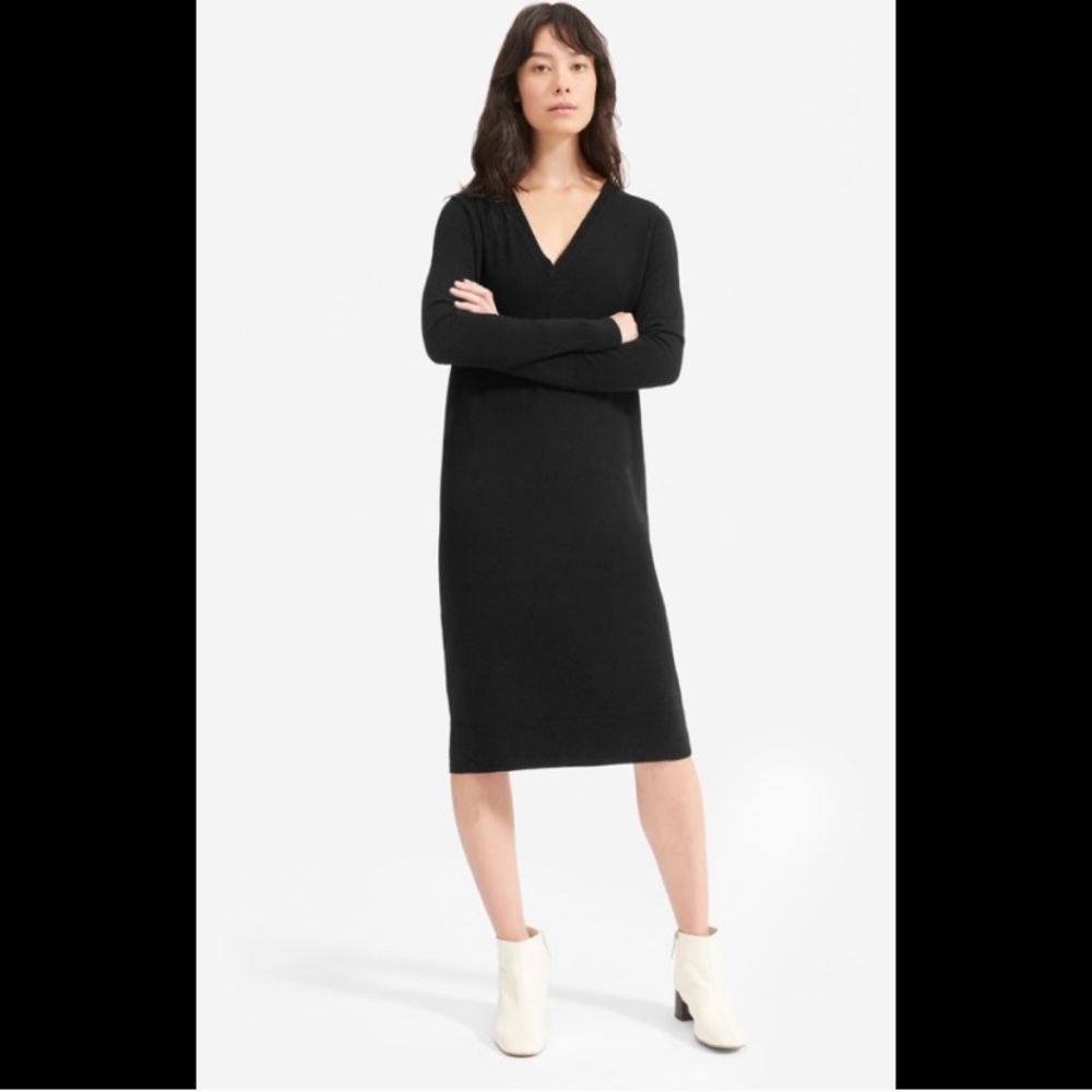 Everlane cashmere sweater dress